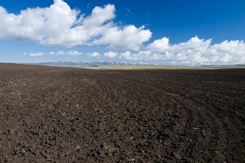 科學(xué)施肥推廣----應(yīng)用土壤養(yǎng)分速測儀實(shí)現(xiàn)節(jié)肥增效