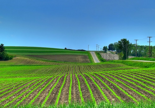 秘密“武器”---應(yīng)用土壤（肥料）養(yǎng)分速測儀看土地選肥料