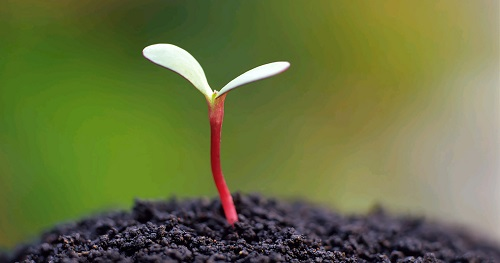 土壤墑情測定儀哪里買？國內(nèi)有哪些比較靠譜？