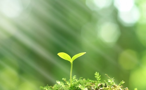 推廣測土配方施肥技術(shù)的有哪些好處？