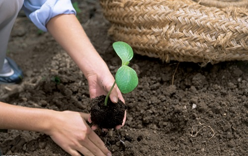 測(cè)土配方施肥儀的三方面應(yīng)用成效，指導(dǎo)農(nóng)戶科學(xué)施肥