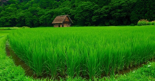 土壤墑情記錄儀的應(yīng)用“功不可沒”