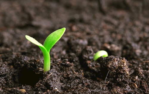 利用土壤硬度計(jì)監(jiān)測(cè)土壤硬度變化更方便！