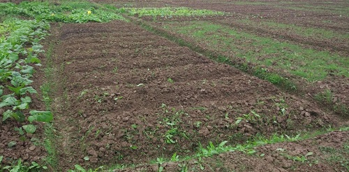 便攜式土壤水分速測(cè)儀的重要影響意義