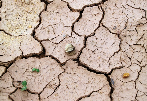 GPS土壤水分速測(cè)儀市場(chǎng)前景可盼