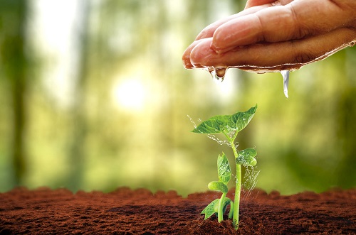 實(shí)時(shí)掌握蔬菜的水分狀況，土壤墑情測(cè)定儀實(shí)現(xiàn)灌區(qū)墑情監(jiān)測(cè)與科學(xué)用水管理