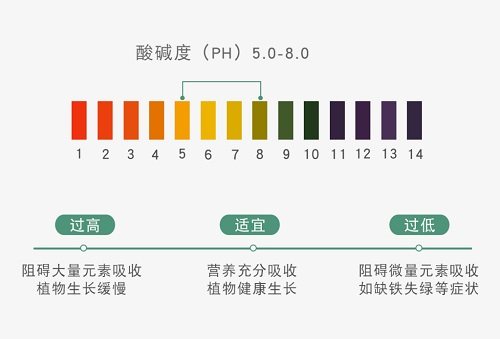 越來(lái)越嚴(yán)重的土壤酸化需要應(yīng)用土壤原位pH儀科學(xué)應(yīng)對(duì)