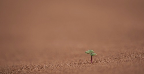 土壤水分監(jiān)測(cè)儀對(duì)我國(guó)旱災(zāi)控制具有提升作用(土壤水分的采樣)