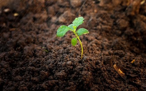 便攜式土壤墑情測(cè)試儀是如何促進(jìn)農(nóng)業(yè)發(fā)展的？（不同蔬菜的需水特性）