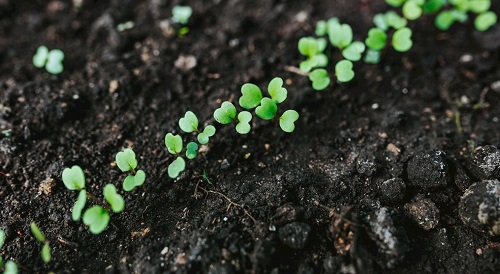 為什么說(shuō)土壤pH儀是農(nóng)技服務(wù)的好幫手（土壤pH值的影響力）