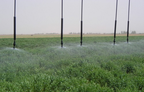 農(nóng)業(yè)工作者不可不知道的土壤墑情速測(cè)儀的三大優(yōu)勢(shì)