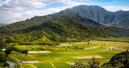 土壤養(yǎng)分速測(cè)的優(yōu)勢(shì)-土壤養(yǎng)分速測(cè)儀指導(dǎo)施肥需要注意事項(xiàng)