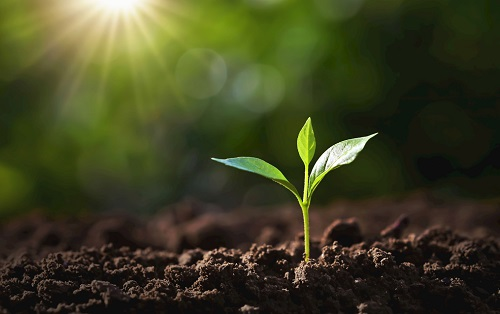 優(yōu)化施肥---土壤養(yǎng)分檢測儀的應(yīng)用指導(dǎo)施思路“對癥下藥”