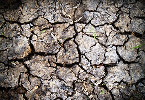 土壤墑情監(jiān)測系統(tǒng)在夏季科學(xué)防旱抗旱