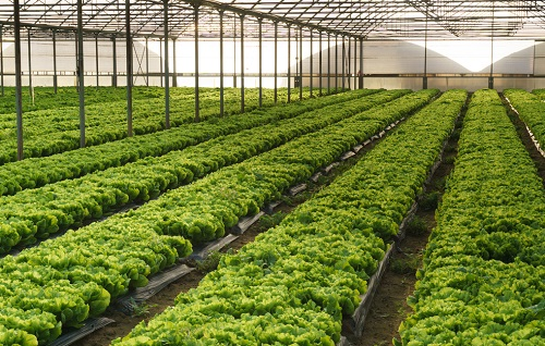 土壤養(yǎng)分測定儀的應用完善土壤的測定效果