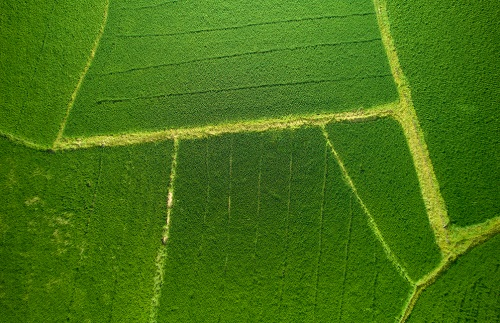 土壤肥料養(yǎng)分速測儀廠家告訴你如何改善土壤結(jié)構(gòu)