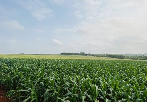 土肥儀是什么？如何指導(dǎo)用戶科學(xué)的施肥？