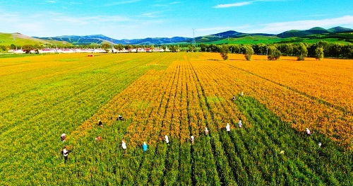 土壤肥料養(yǎng)分測定儀是什么？土壤肥料養(yǎng)分速測儀助力土壤可持續(xù)發(fā)展