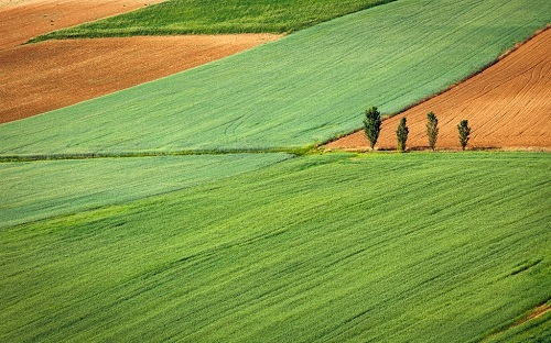 如何應(yīng)用土壤水分檢測儀了解水分變化（土壤水分儀性能可靠嗎）