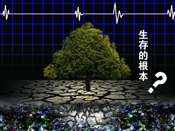 土壤重金屬嚴重超標，土壤修復(fù)離不開土壤檢測儀