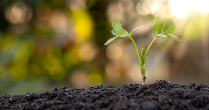 土壤養(yǎng)分檢測儀可以為不同作物生長提供指導(dǎo)施肥方式！