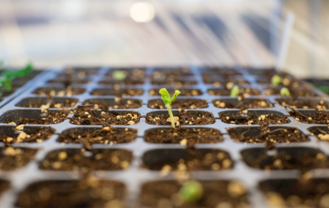 土壤養(yǎng)分檢測儀是什么？土壤養(yǎng)分檢測儀促進種植行業(yè)的發(fā)展