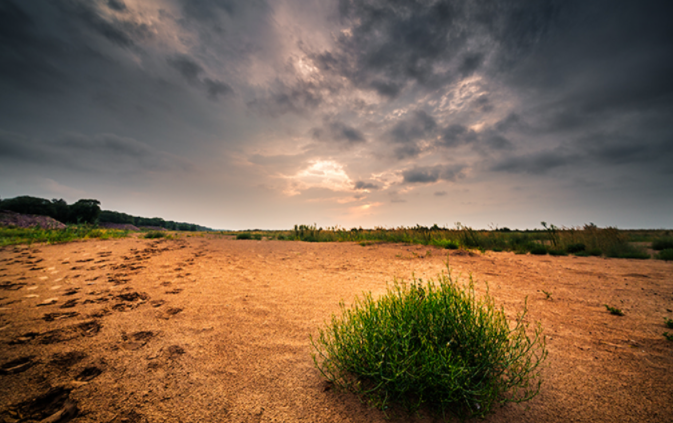 什么叫土壤肥力？土壤肥力檢測儀識別土壤肥力的高低