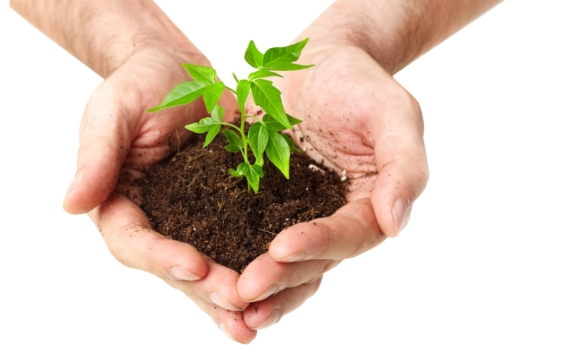 土壤濕度檢測(cè)儀是智商稅嗎？不用儀器怎么測(cè)土壤濕度程度