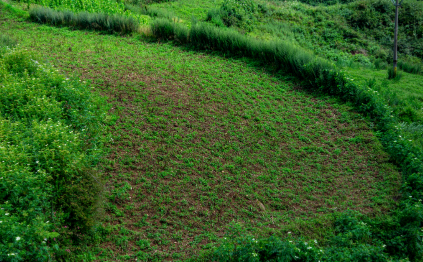 高智能土壤肥料養(yǎng)分檢測(cè)儀評(píng)測(cè)：哪款更出色？